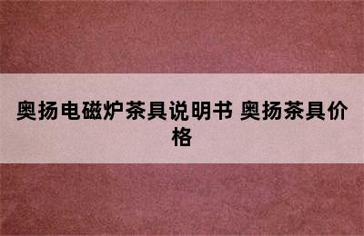 奥扬电磁炉茶具说明书 奥扬茶具价格